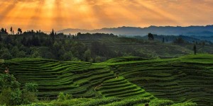 四川蒙顶山旅游攻略 – 景点门票价格（蒙顶山风景名胜区攻略旅游门票地址）