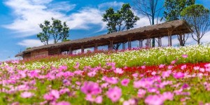 川南大草原游玩攻略 – 景点门票价格（川南大草原攻略旅游门票地址开放）