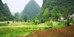 神泉谷景区在哪里 怎么去（神泉谷景区地址交通攻略旅游）