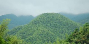 周洛大峡谷和龙潭哪个好（周洛大峡谷攻略旅游）