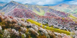 杏花沟游玩攻略 – 景点门票价格（伊犁杏花沟介绍门票交通路线攻略）