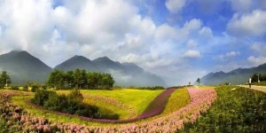 重庆露营哪里好（重庆露营旅游）