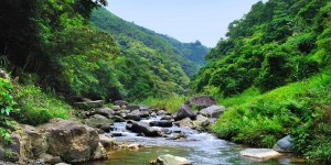 梅州哪里适合爬山（梅州爬山旅游）