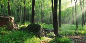 哈尔滨爬山哪里好玩（哈尔滨爬山旅游）