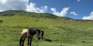 4归园田居塔村门票多少钱（归园田居塔村门票旅游）