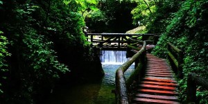 4青城后山门票多少钱（青城后山门票攻略旅游）