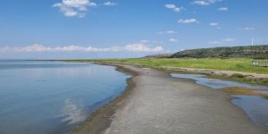 4达里湖南岸景区门票价格（达里湖南岸景区门票价格旅游）