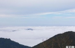 阿里山森林游乐区 – 游玩攻略 – 门票价格（阿里山森林游乐区阿里山森林游乐区门票）