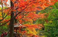 本溪关门山在哪里 在哪个区（关门山国家森林公园地址旅游攻略）