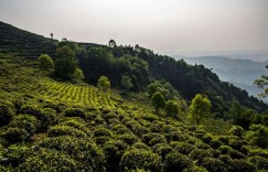 蒙顶山有哪些景点（蒙顶山风景名胜区景点介绍攻略旅游）