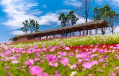 川南大草原游玩攻略 – 景点门票价格（川南大草原攻略旅游门票地址开放）