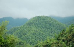 周洛大峡谷和龙潭哪个好（周洛大峡谷攻略旅游）