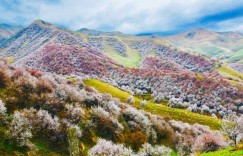 杏花沟游玩攻略 – 景点门票价格（伊犁杏花沟介绍门票交通路线攻略）