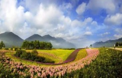 重庆露营哪里好（重庆露营旅游）