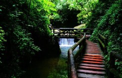 4青城后山门票多少钱（青城后山门票攻略旅游）