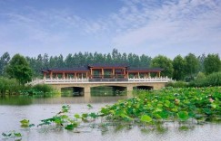 4洪泽湖湿地公园门票多少钱一张（洪泽湖湿地景区攻略旅游）