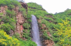 4石龙大峡谷门票价格（石龙大峡谷门票价格旅游）