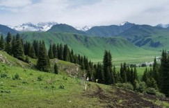 那拉提草原在新疆什么地方（那拉提草原新疆旅游）