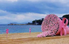 深圳小梅沙和小梅沙度假村是一家吗（深圳小梅沙小梅沙度假村旅游）